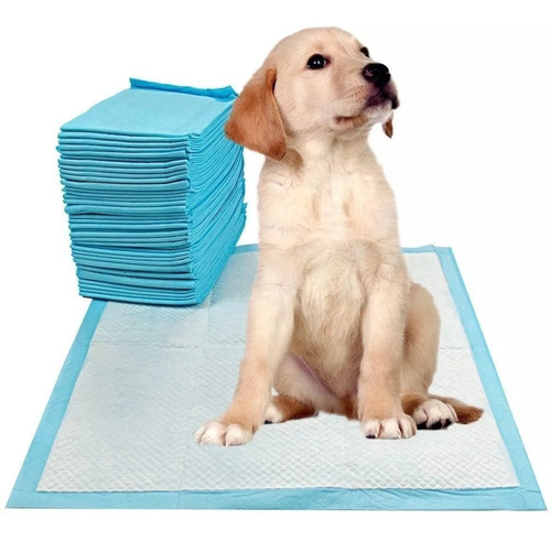 accesorios47 Panales para Piso para Perro - Imagen 1