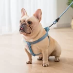 comida para perros